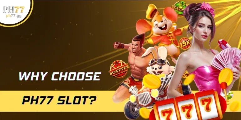 Sân đấu gà chọi Sodo66